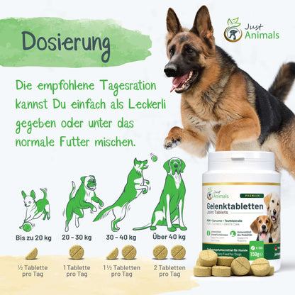 FBM - Gelenktabletten für Hunde mit Grünlippmuschel, Teufelskralle und MSM