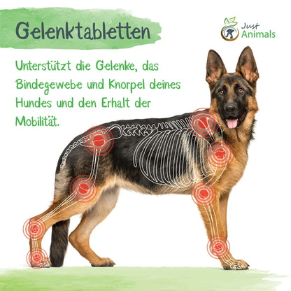 FBM - Gelenktabletten für Hunde mit Grünlippmuschel, Teufelskralle und MSM