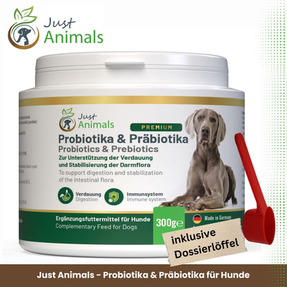 Probiotika & Präbiotika für Hunde