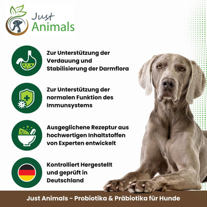 Probiotika & Präbiotika für Hunde