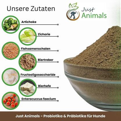 Probiotika & Präbiotika für Hunde